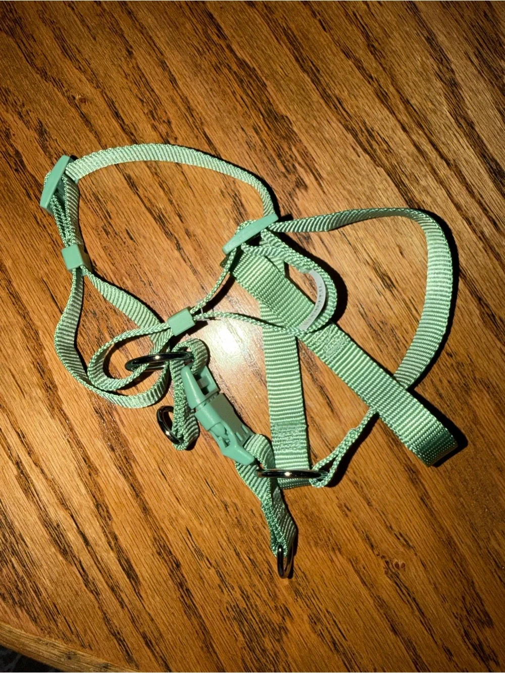 Medium Mint Green Adjustable Pet Harness